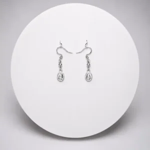 Aretes Medalla Religiosa Plata 925
